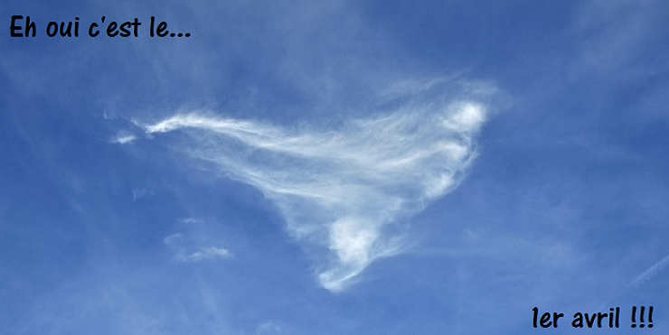 Montre 20ème anniversaire