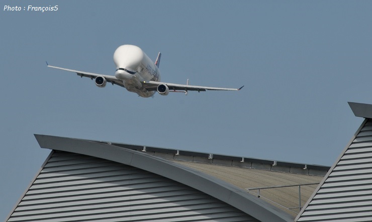 Beluga XL