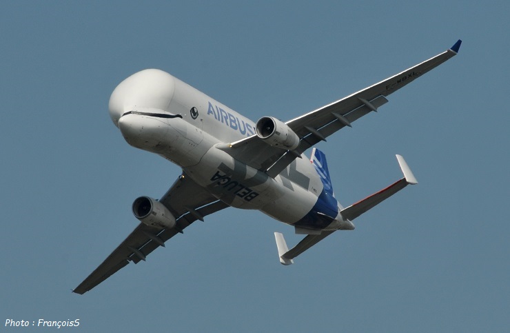 Beluga XL