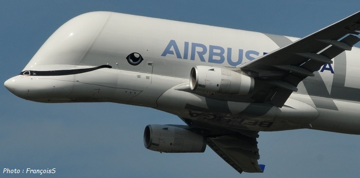 Beluga XL