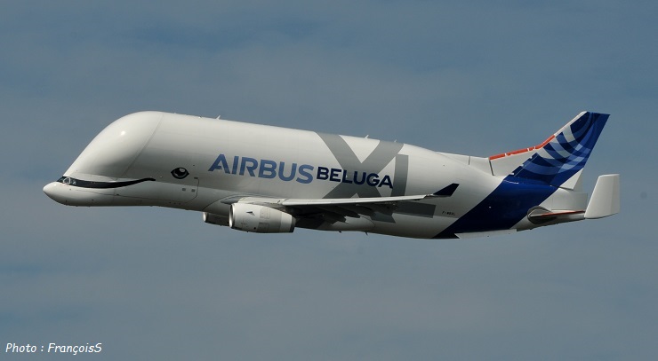 Beluga XL