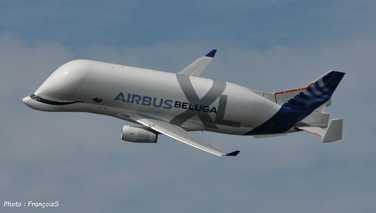 Beluga XL