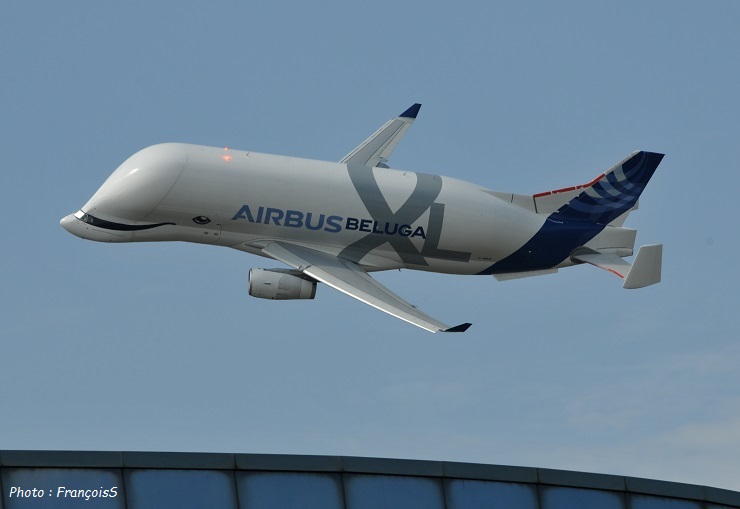 Beluga XL
