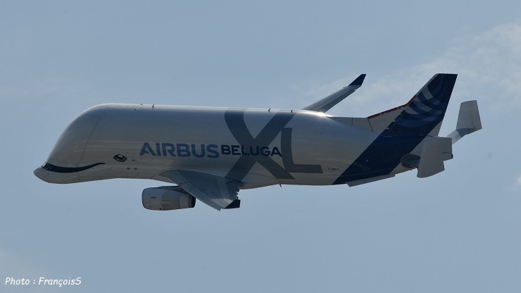 Beluga XL