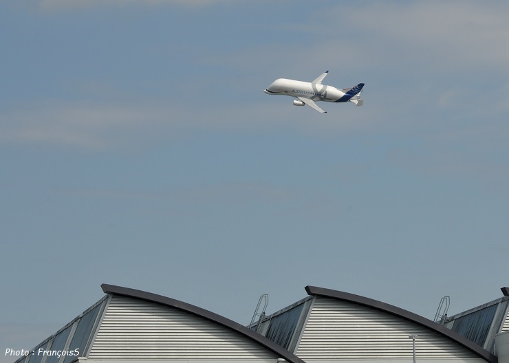 Beluga XL