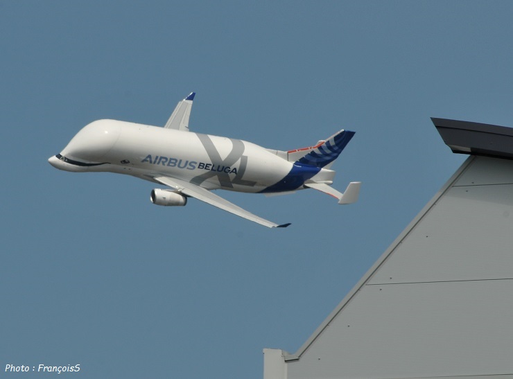 Beluga XL