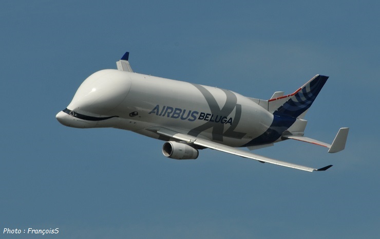 Beluga XL