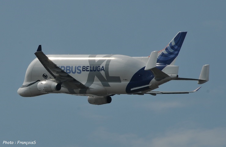 Beluga XL