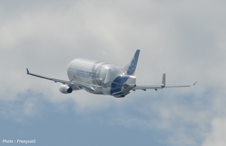 Beluga XL