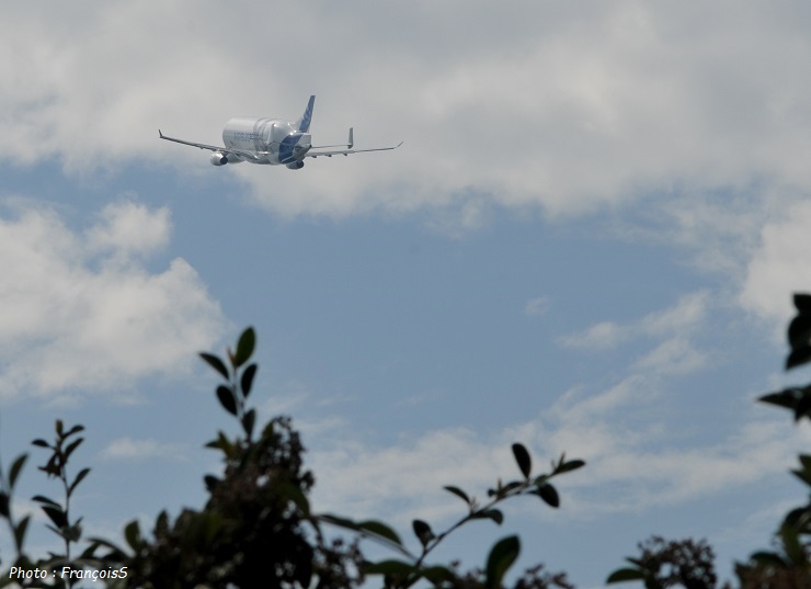 Beluga XL