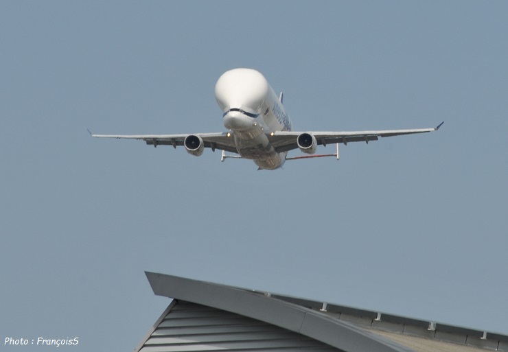 Beluga XL