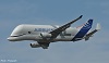 Beluga XL