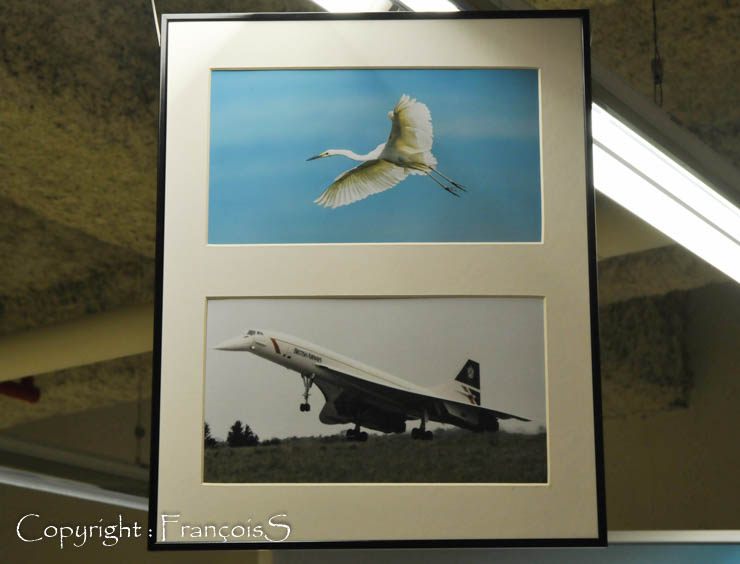 Le Grenier de l'Aviation
