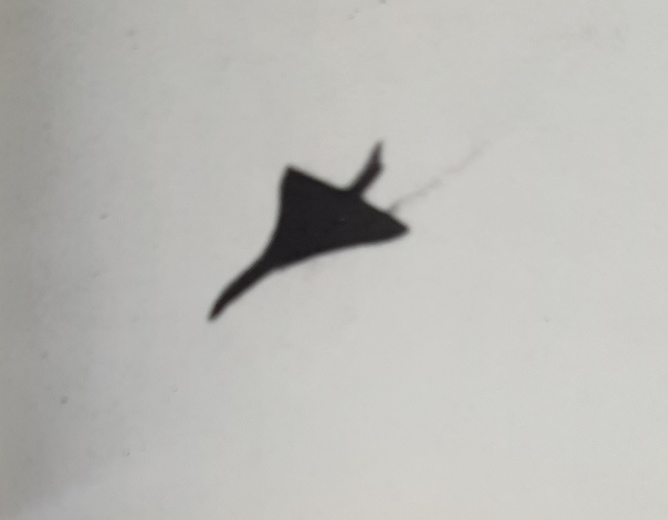 Maquette 1967