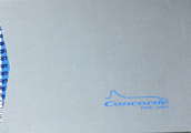 concorde simulateur