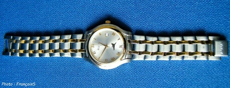 Montre Concorde AVIA