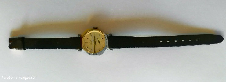 Montre Albion