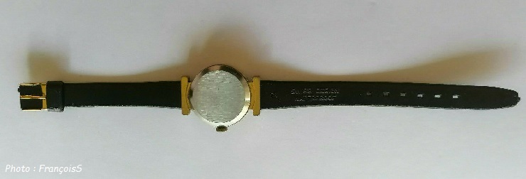 Montre Albion