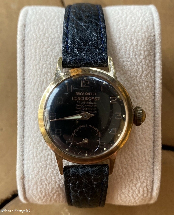 ERICA SAFETY Concorde