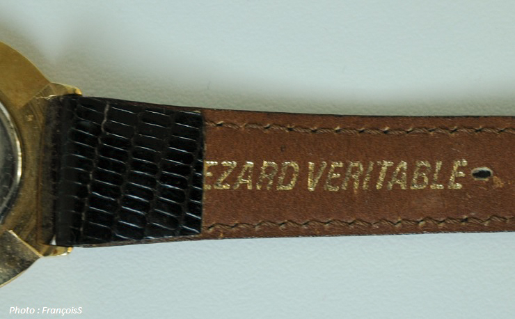 Montre Francesco SMALTO