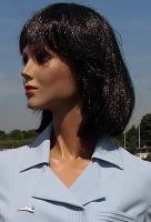 Hôtesse de l'Air Concorde