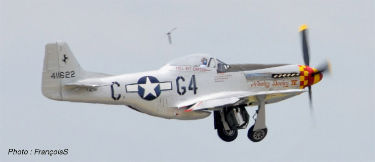 P41